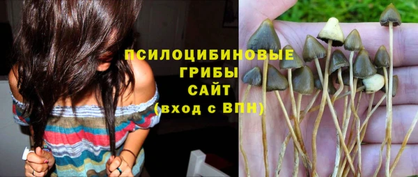 apvp Абинск
