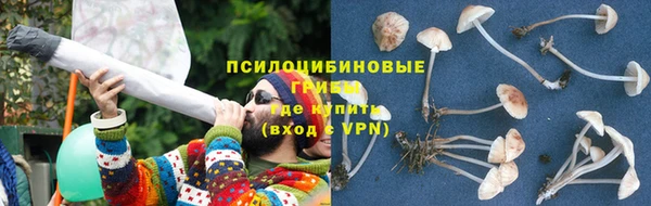 apvp Абинск