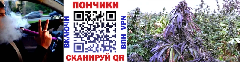 кракен вход  закладки  Ардатов  Бошки Шишки марихуана 